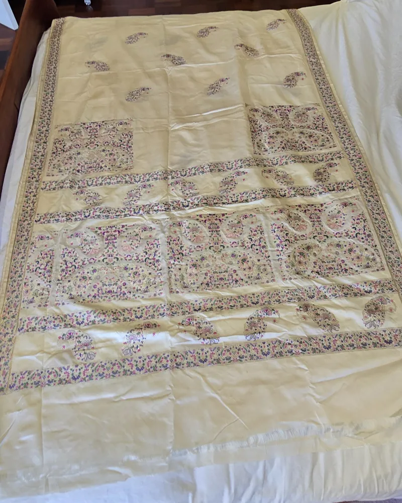 The actual saree laid out flat — photo 3 of 6